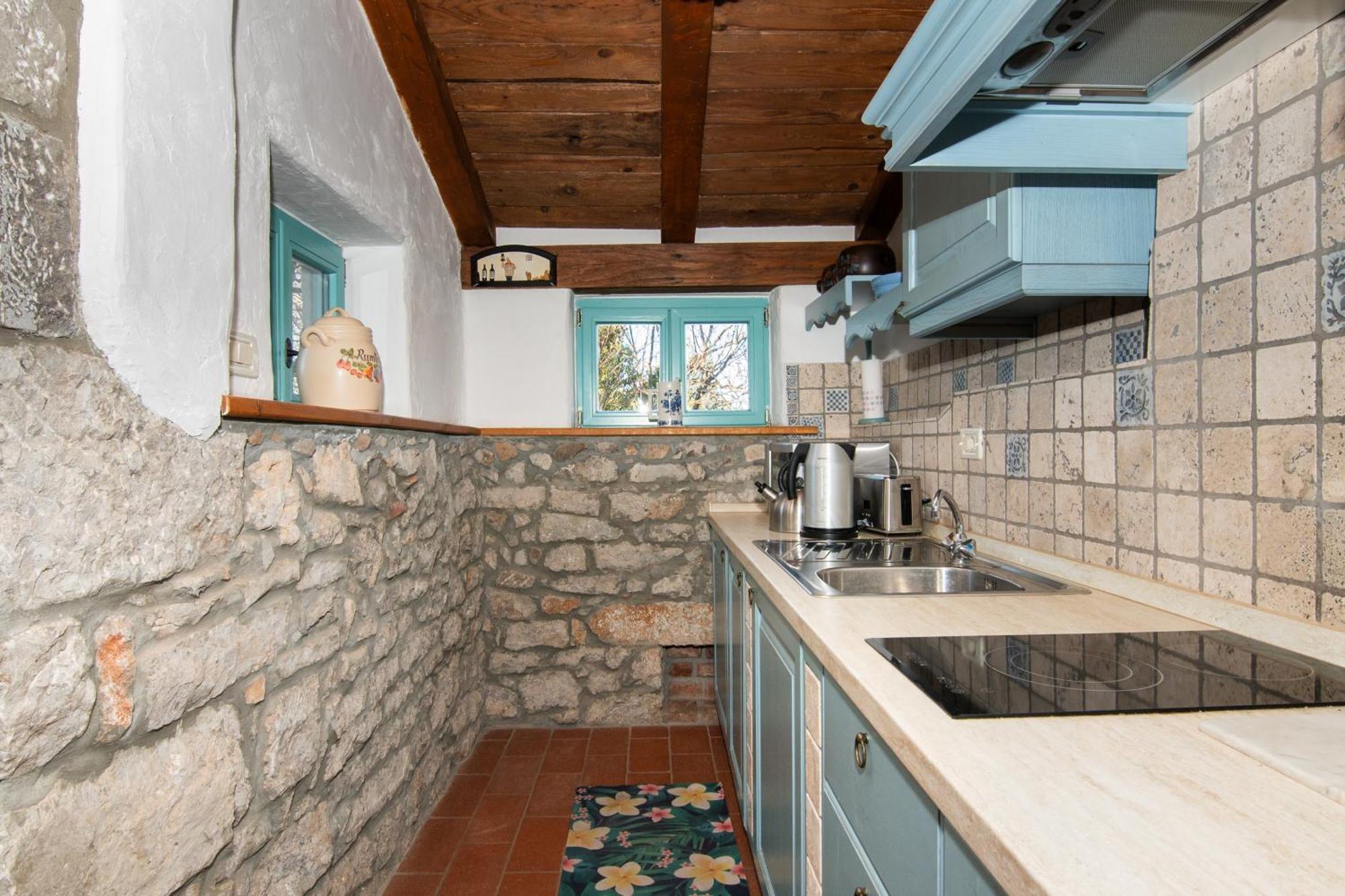 Apartments Valentinus 1800 Sežana エクステリア 写真