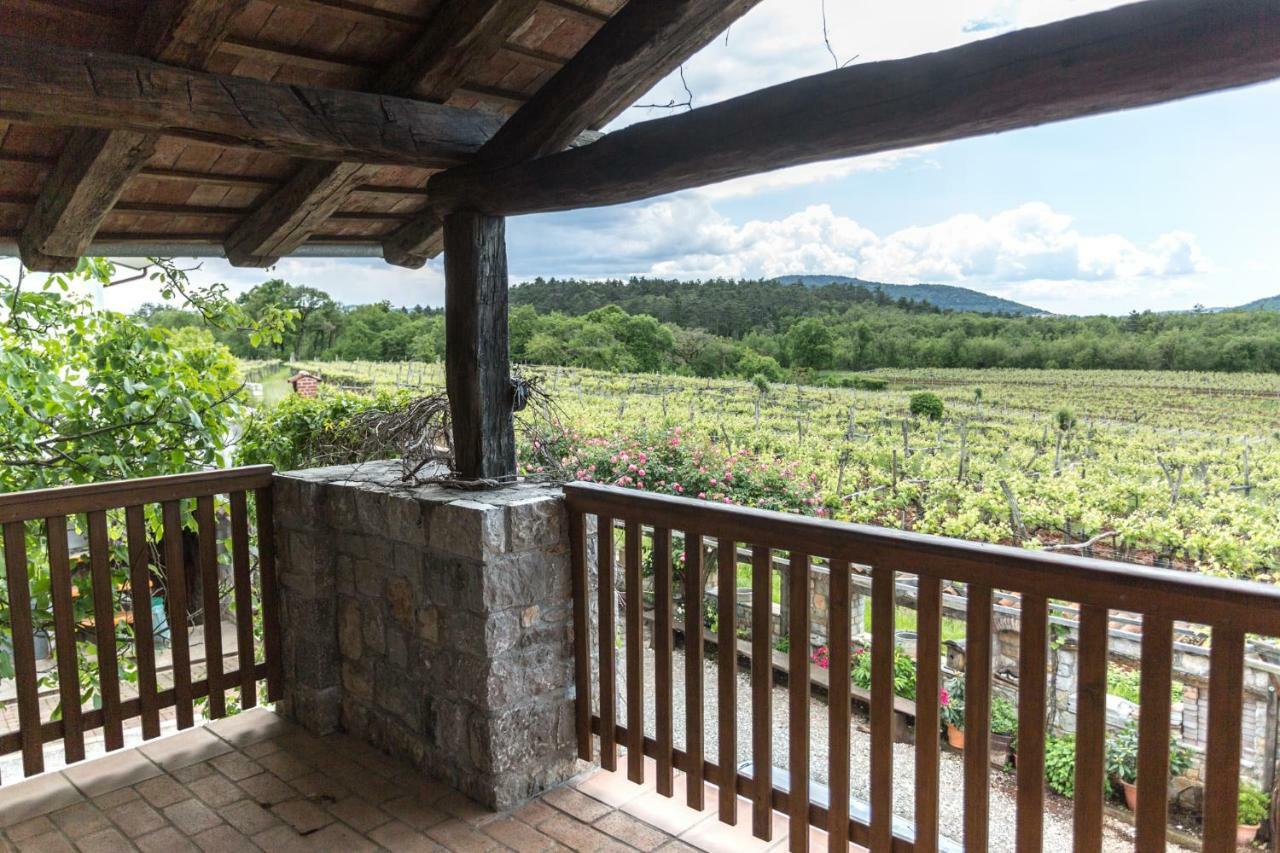 Apartments Valentinus 1800 Sežana エクステリア 写真
